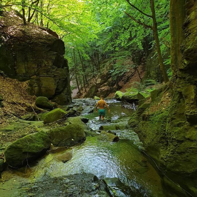Waterfall A Frame, Maramures Baia Mare Bagian luar foto